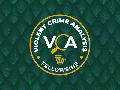Violent Crime Analysis Fellowship