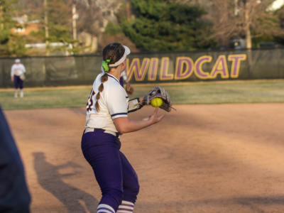 Softball Team Tile Image