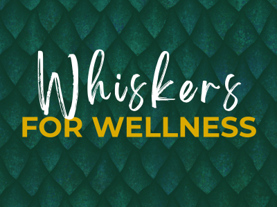 Whiskers for Wellness
