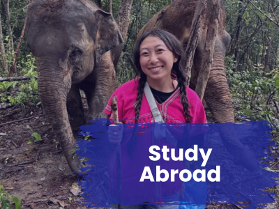 Study Abroad