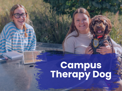 Campus Therapy Dog