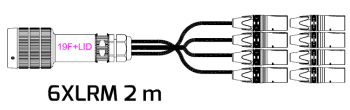 LK19, 6par, Female - til - Fanout 6xXLR-M, 2m, AES ( DOMM)