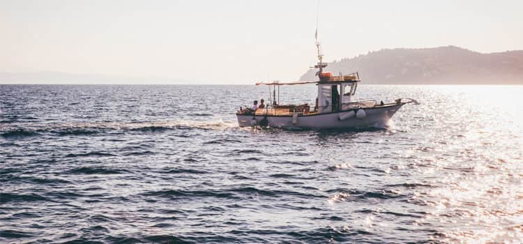 Boat in the water