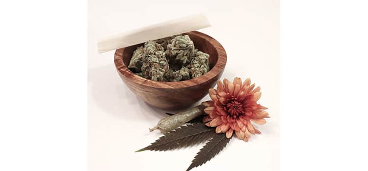 New Jersey Legislature Also Advances Medical Cannabis Bills