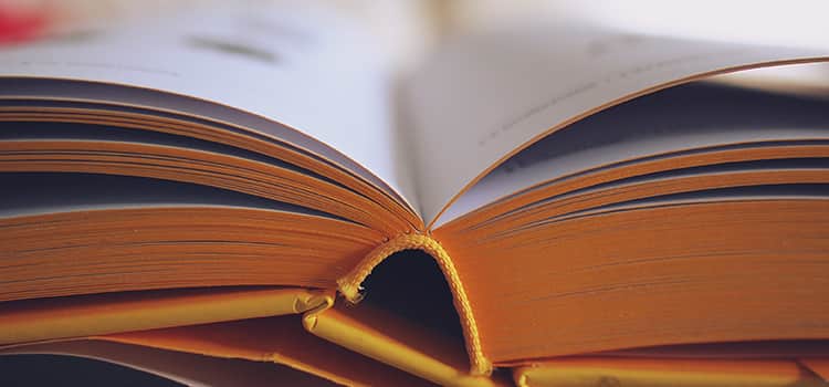 Important Employee Handbook Updates Your Business Should Consider
