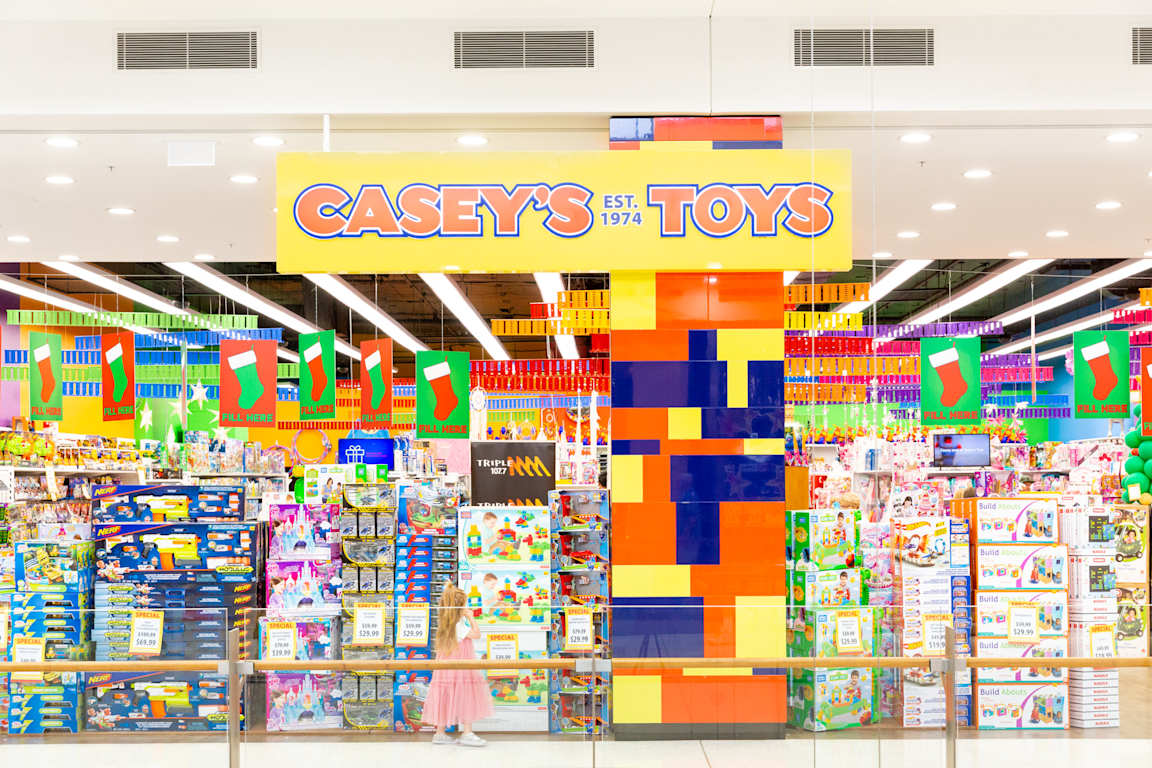 caseys toy world