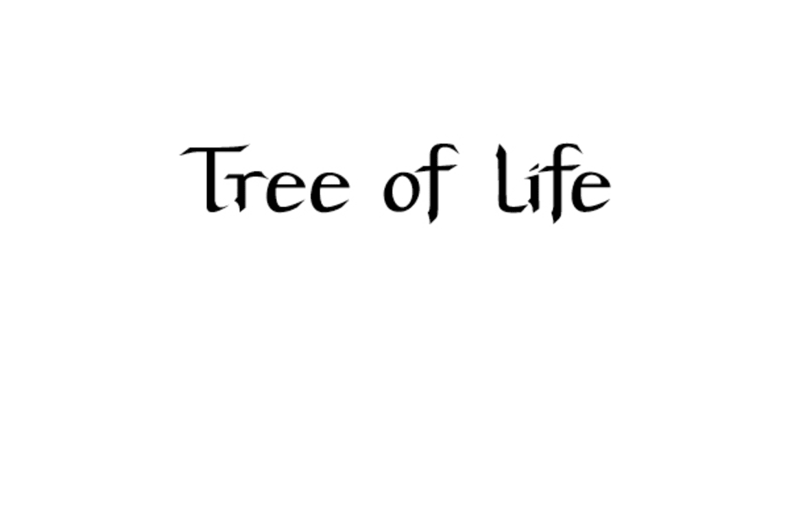 Tree Of Life At Westfield Bondi Junction