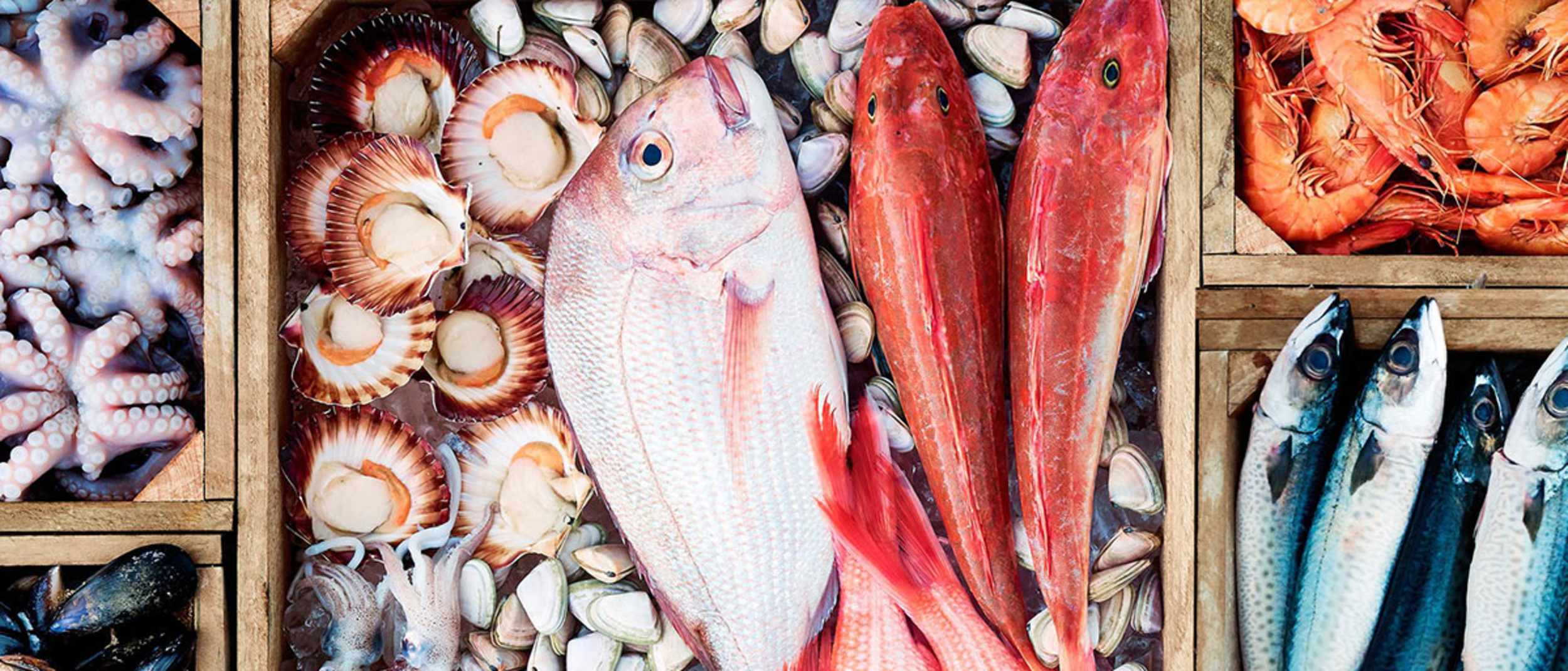 Manukau City Seafood at Westfield Manukau City