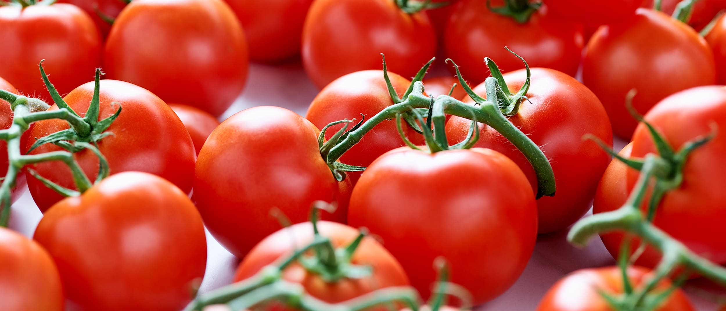 Coles at Westfield Bondi Junction