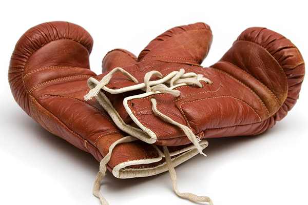 everlast boxing gloves rebel