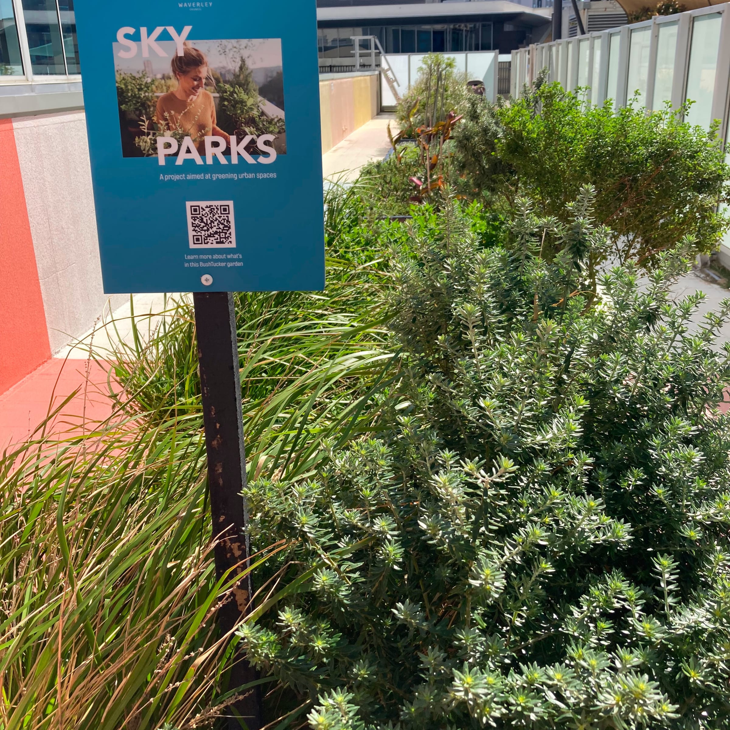 In collaboration with Waverley Council, Westfield Bondi Junction introduced three SkyParks gardens.