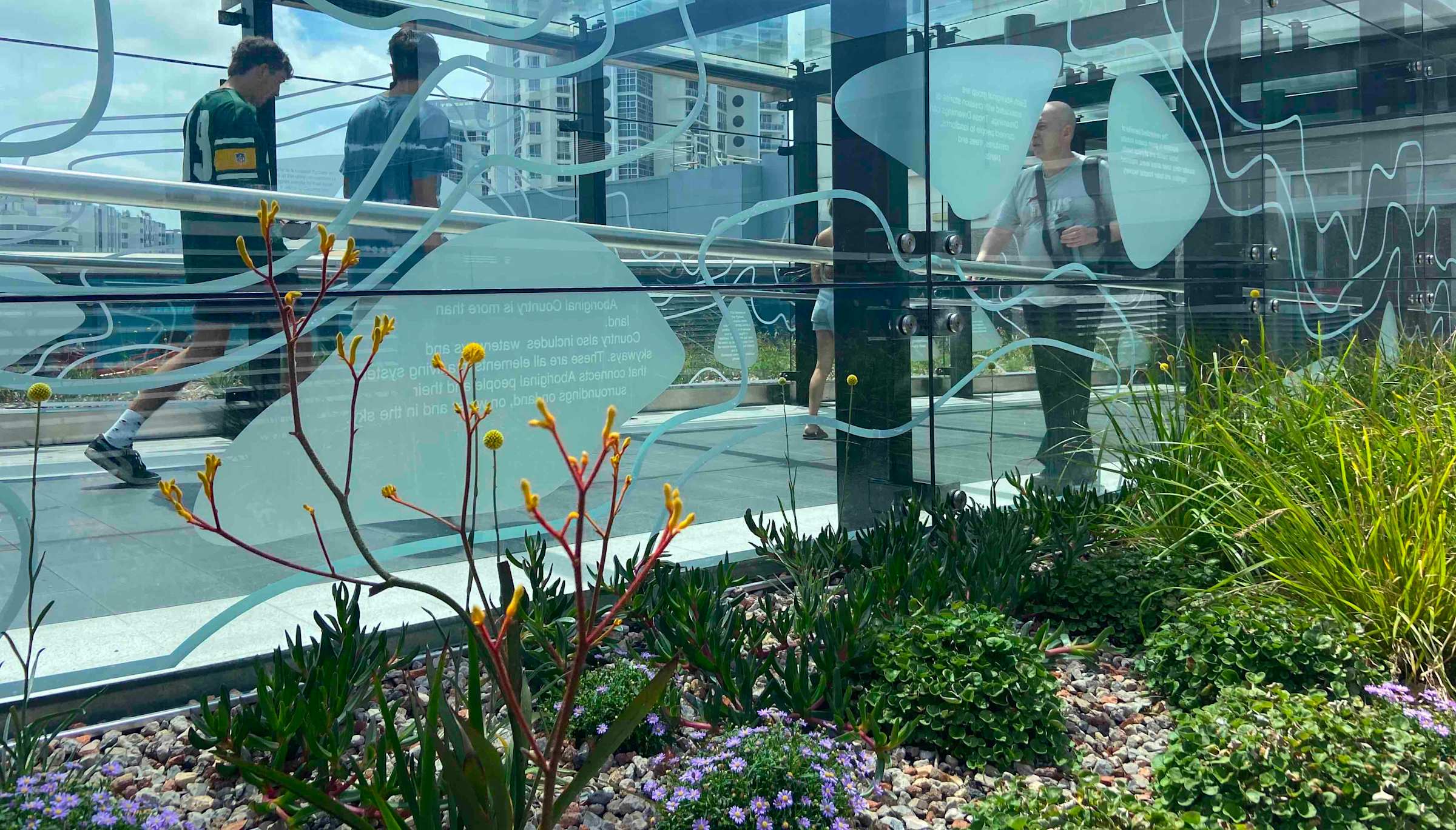 Bondi Junction SkyPark garden walkway