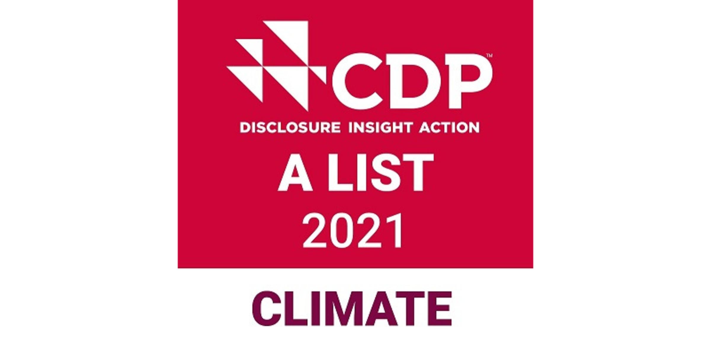 CDP Discloser 2022