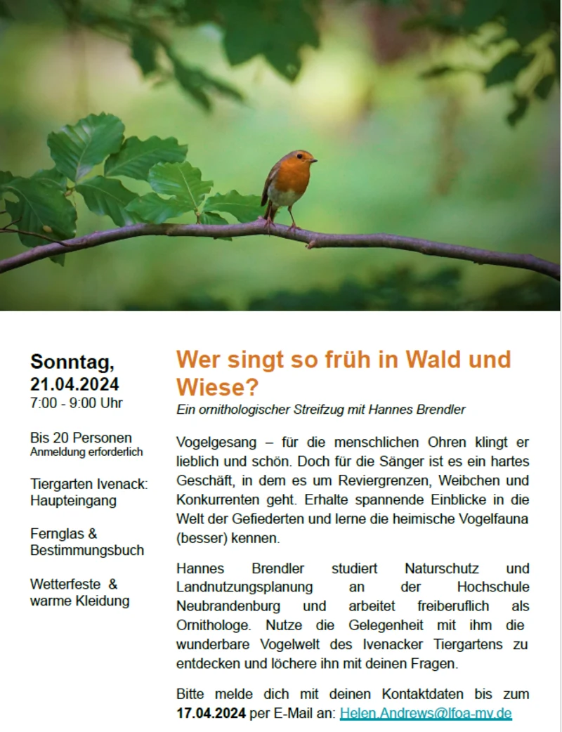 Wer singt so früh in Wald und Wiese? 