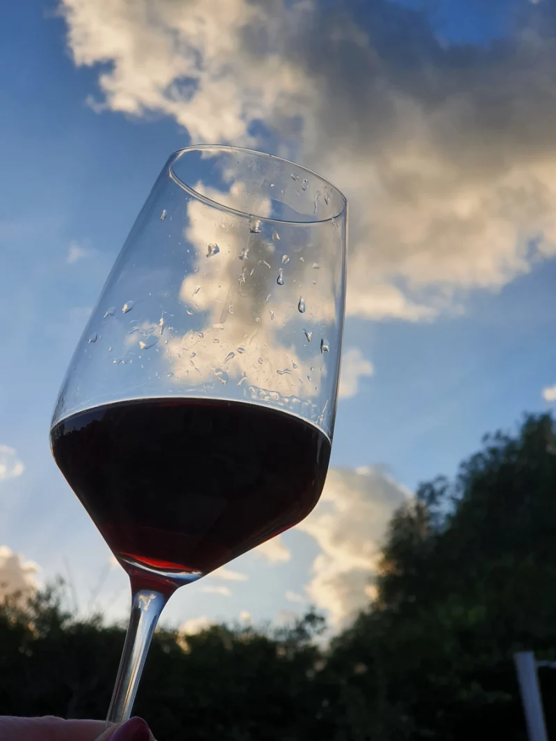 Weinprobe „Roth & weiß“