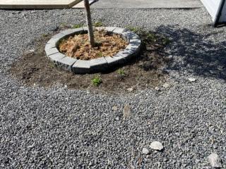 Image from job nr 5