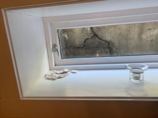 Image from job nr 1
