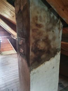 Image from job nr 1