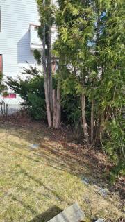 Image from job nr 2