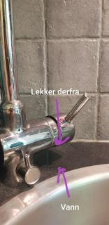 Image from job nr 1