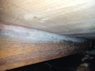 Image from job nr 1