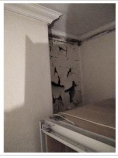 Image from job nr 6