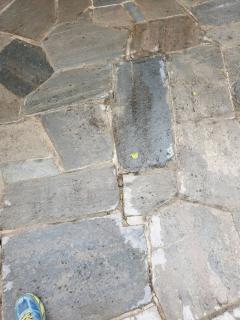 Image from job nr 1