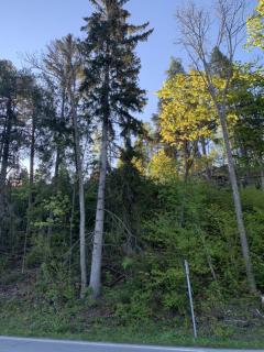 Image from job nr 1