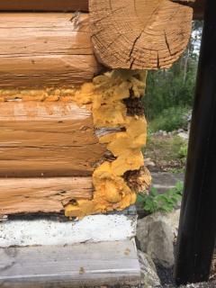 Image from job nr 3