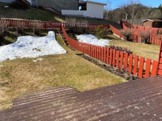 Image from job nr 1