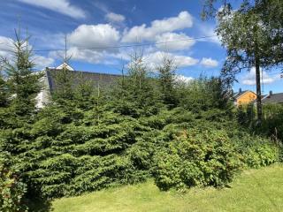 Image from job nr 1