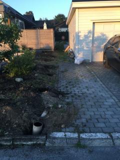 Image from job nr 5