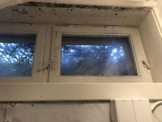 Image from job nr 1