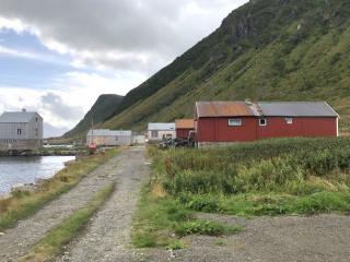 Image from job nr 1