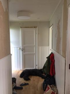 Image from job nr 1