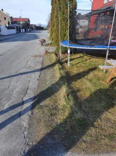 Image from job nr 3