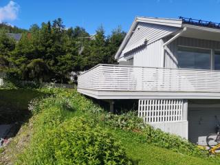 Image from job nr 2