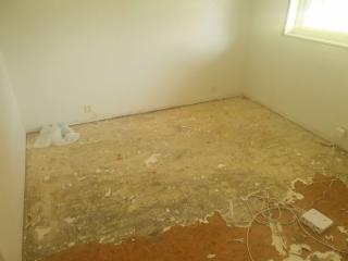Image from job nr 1