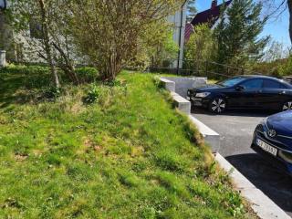 Image from job nr 1