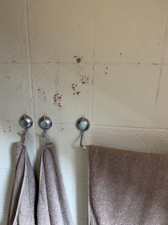 Image from job nr 1