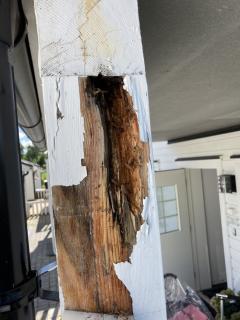 Image from job nr 1