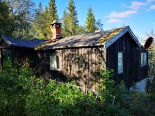 Image from job nr 3
