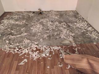 Image from job nr 6