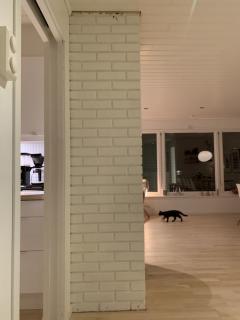 Image from job nr 2