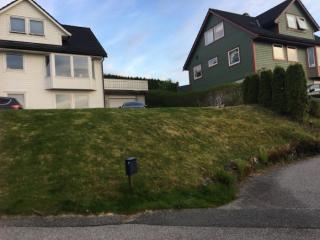Image from job nr 1