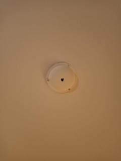 Image from job nr 1
