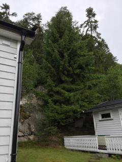 Image from job nr 2