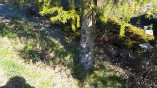 Image from job nr 2