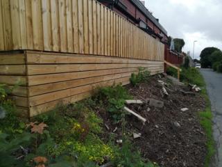 Image from job nr 1