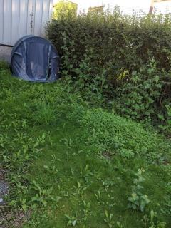 Image from job nr 1
